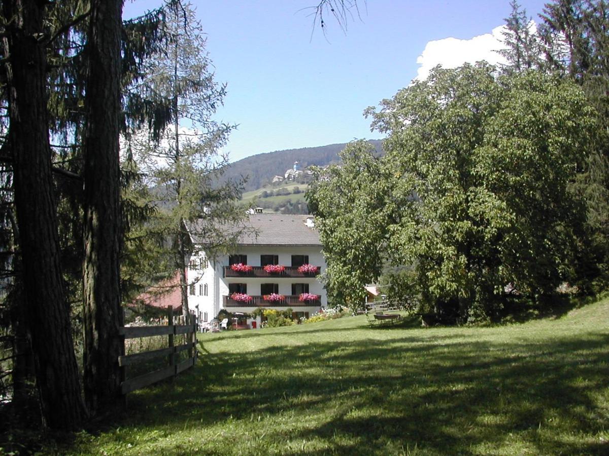 אורטיסיי San Pietro Dolomiti Small Budget Hotel מראה חיצוני תמונה